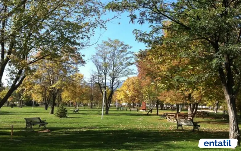 Atatürk Orman Parkı