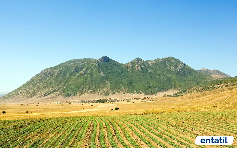 Bitlis Nemrut Dağı