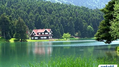 Bolu Gezilecek Yerler