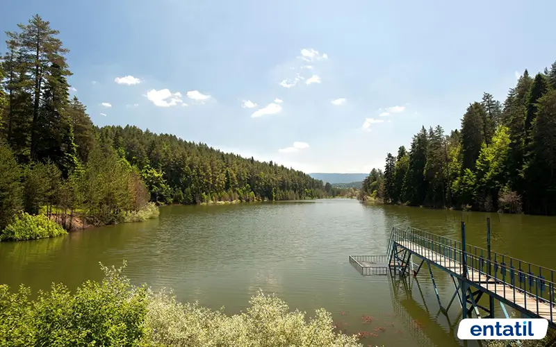 Bozcaarmut Göleti