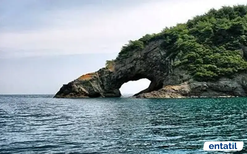 Delikli Şili