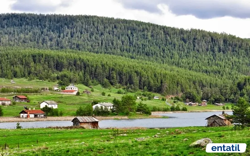 Eğriova Yaylası
