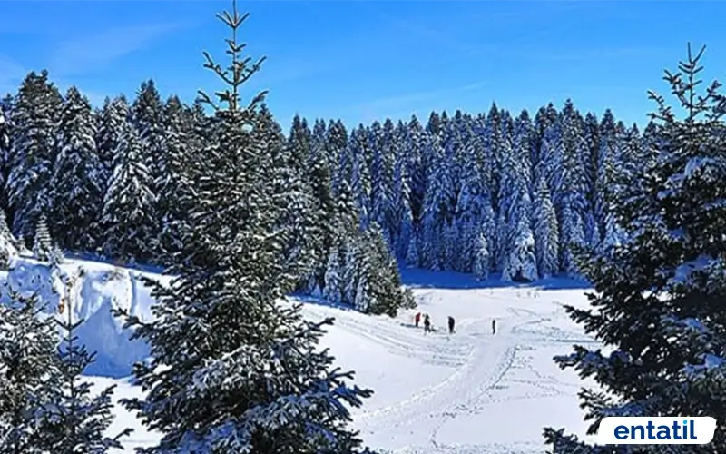 Esentepe Kayak Merkezi