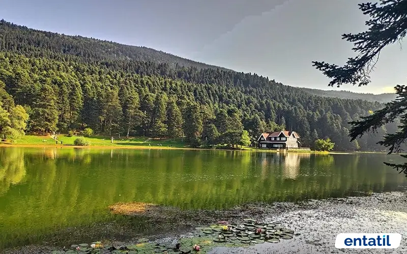 Gölcük Tabiat Parkı