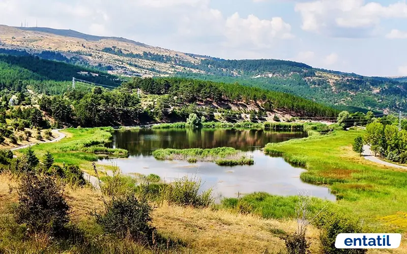 Karagöl Tabiat Parkı