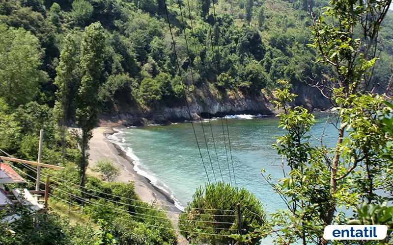 Karaman Koyu