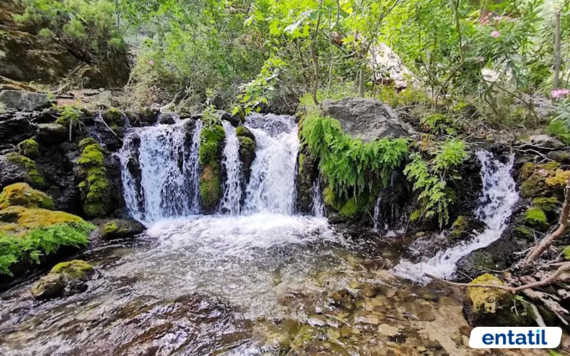 Karanlıkdere Kanyonu