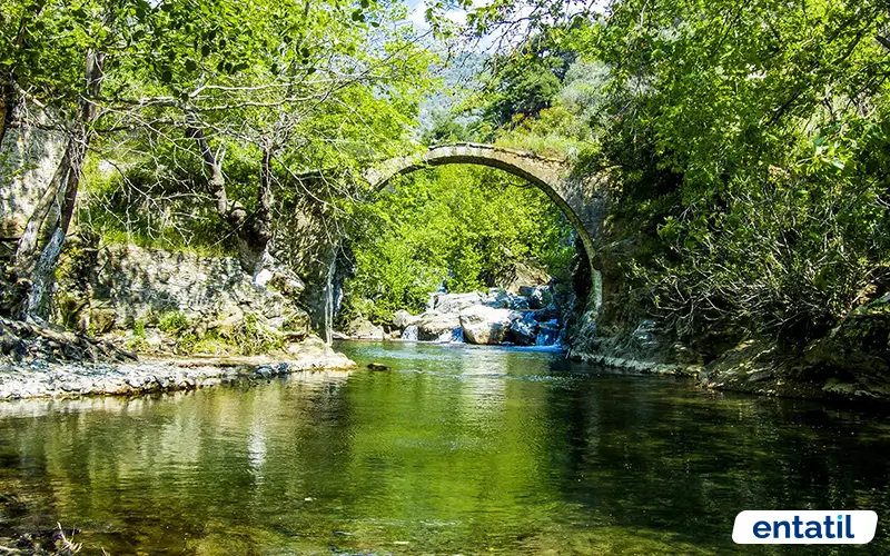 Kazdağı Milli Parkı