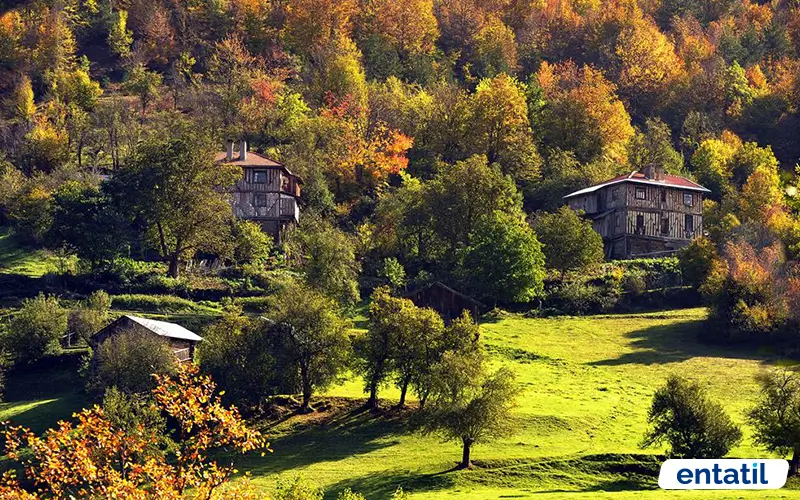 Küre Dağları Milli Parkı