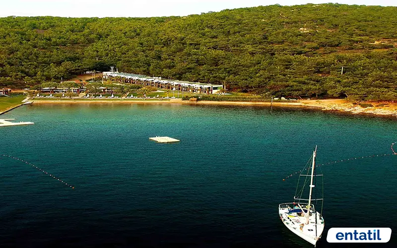 Ortunç Koyu