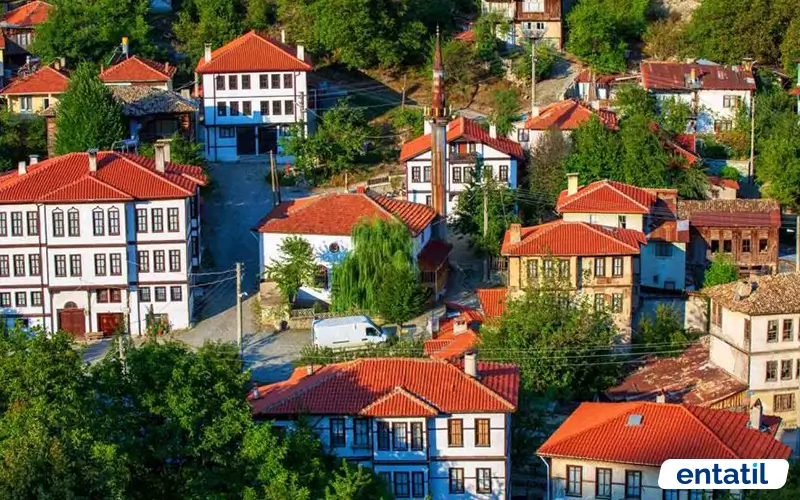 Tarihi Mudurnu Evleri
