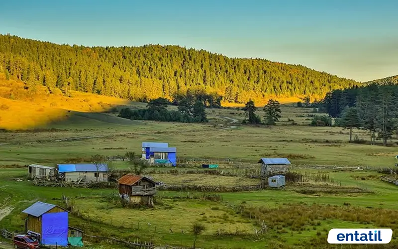 Uluyayla