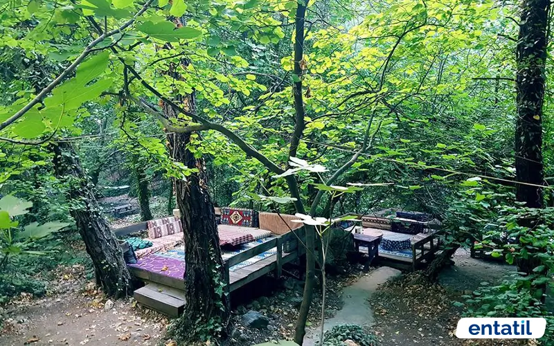 Ağlayan Şelale Kamping