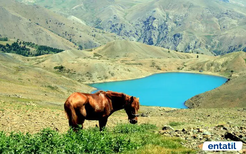 Aygır Gölü