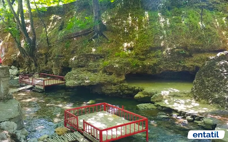 Ayngebire Piknik ve Kamp Alanı