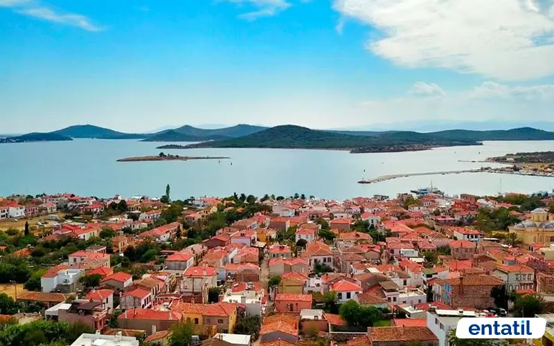 Ayvalık Adaları Kamp Alanı Alibey Adası