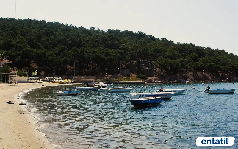Badavut Plajı Kamp Alanı