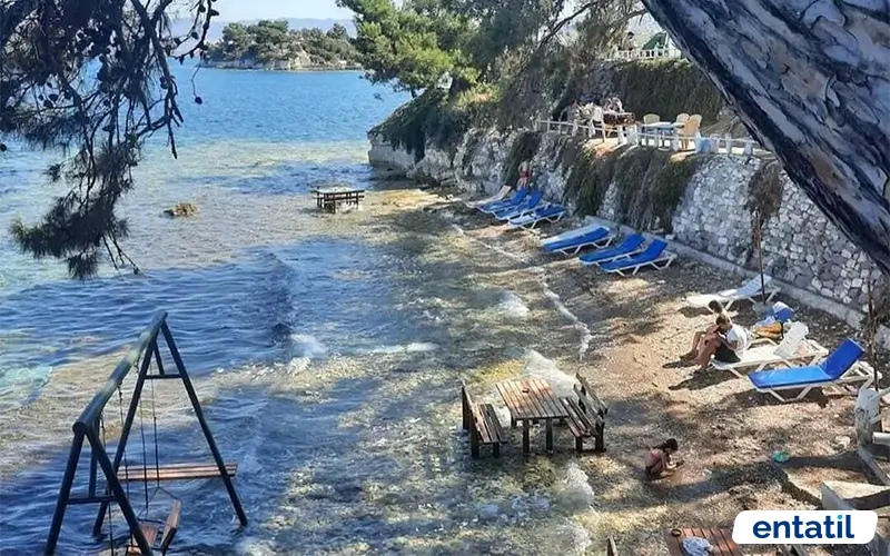 Çam Camping