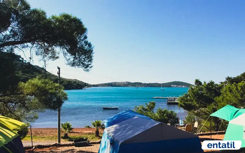 Çamlık Kamping