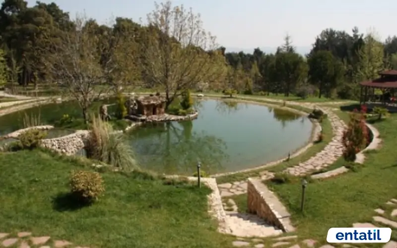 Çamlık Parkı