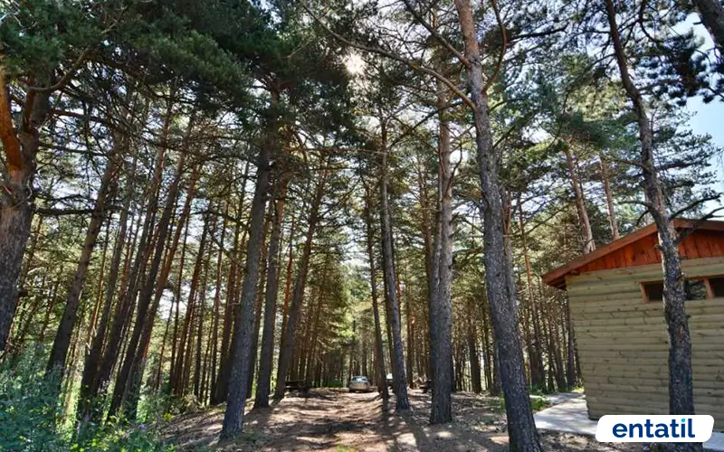 Çatak Tabiat Parkı
