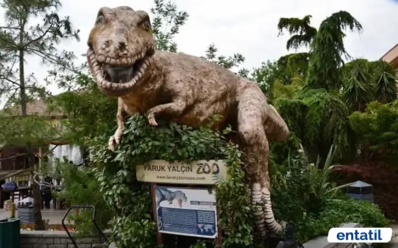 Darıca Hayvanat Bahçesi (Faruk Yalçın Zoo)