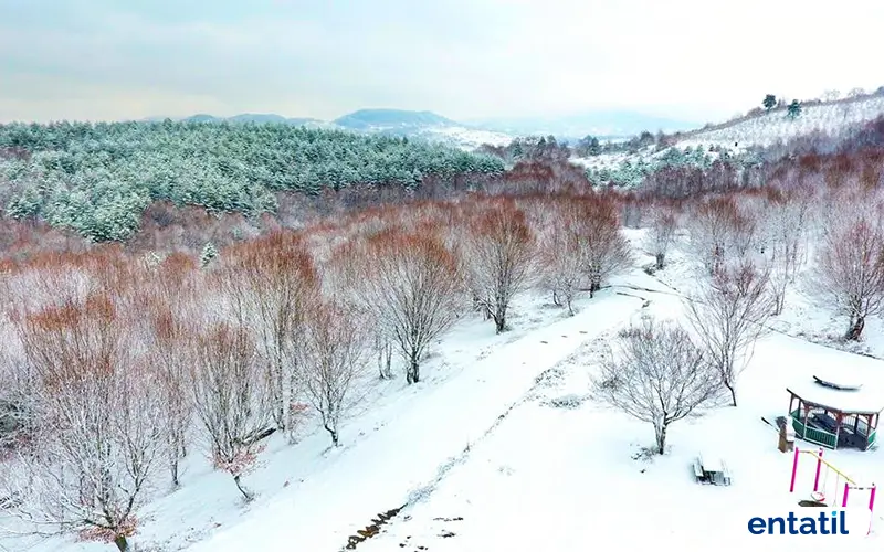 Gırgın Çayırı Piknik ve Mesire Alanı