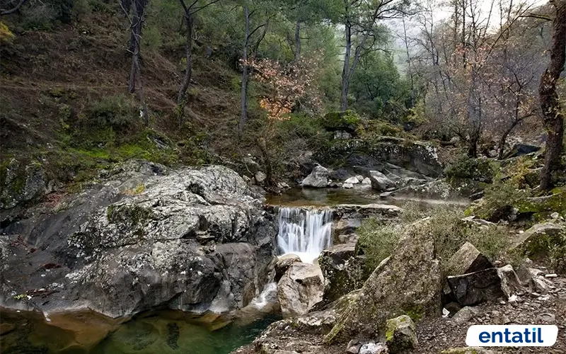 Gökdere Köyü Kamp Alanı