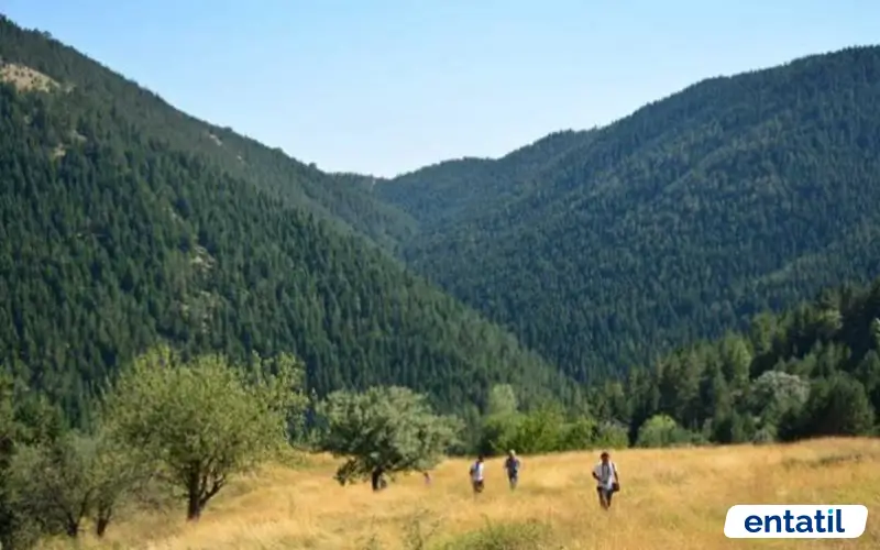 İskilip Yaylaları Kamp Alanı