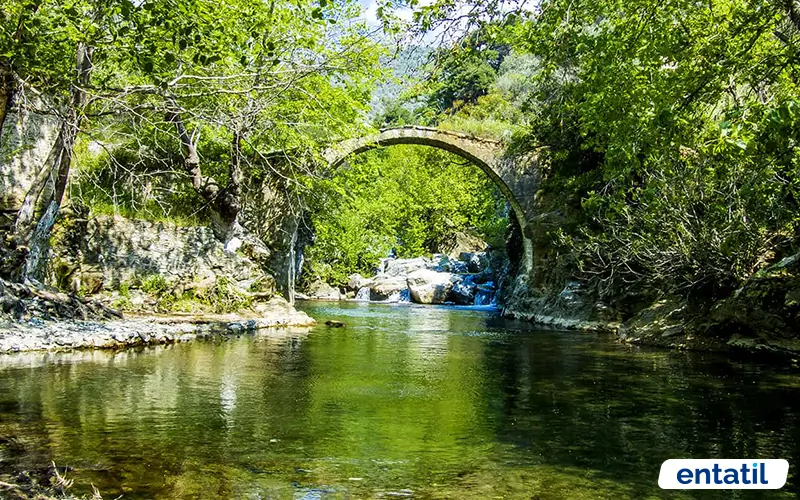 Kazdağı Milli Parkı