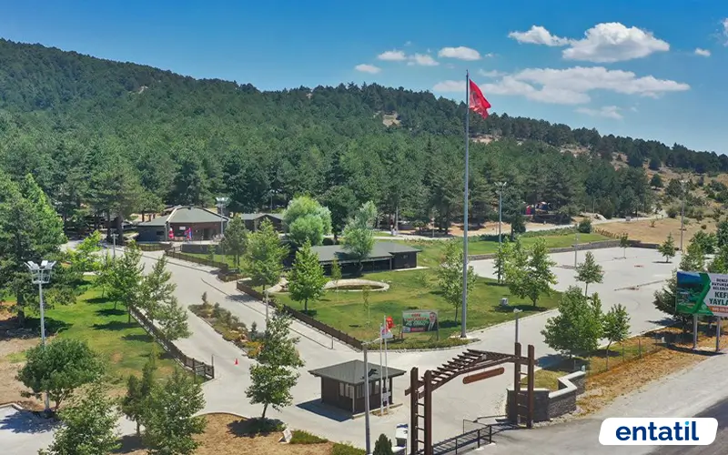 Kafe Yaylası Çadır Kamping