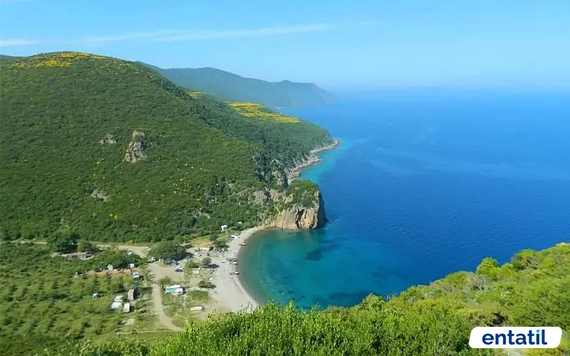 Kömür Limanı