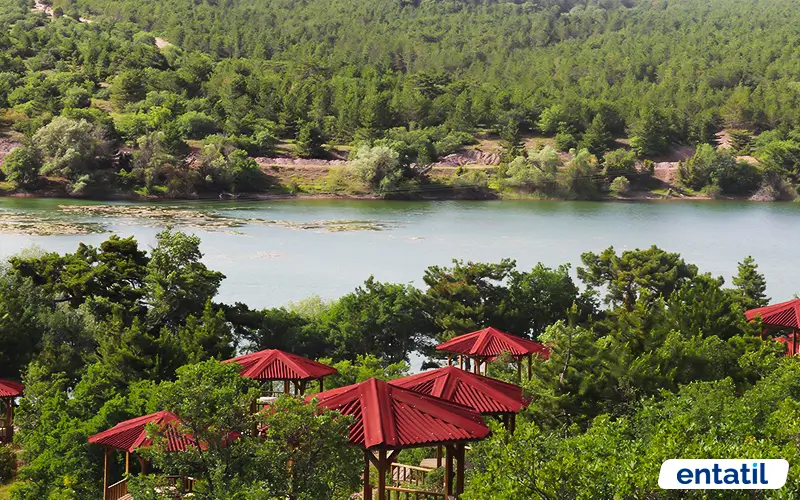 Musaözü Tabiat Parkı