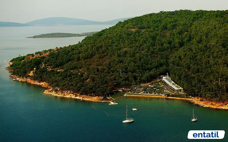 Ortunç Koyu