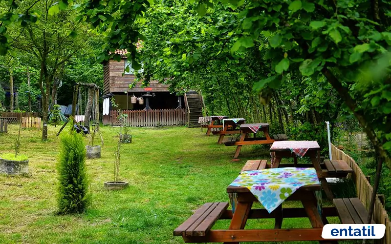 Sarıyayla Şelalesi Piknik ve Mesire Alanı