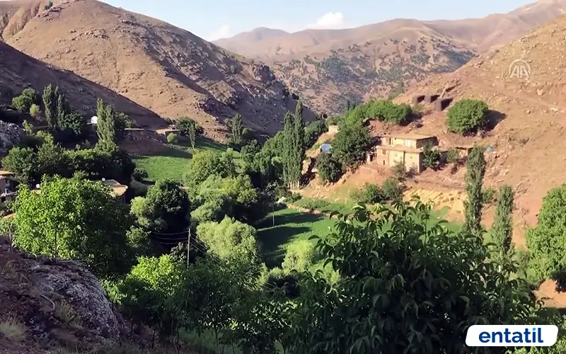 Sason Yaylası