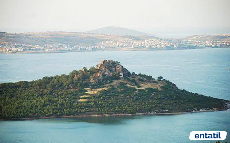 Tımarhane Adası