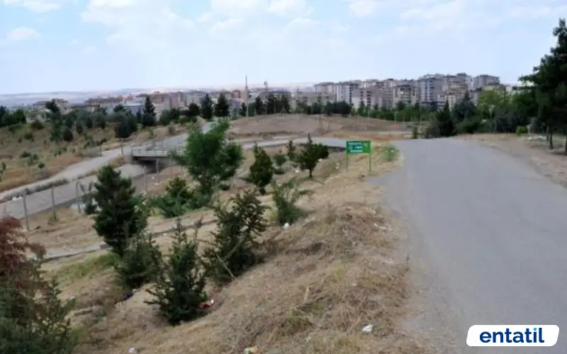 Yaşar Kemal Kent Ormanı