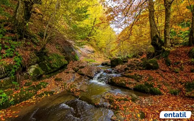 Yılançatı Kanyonu Tabiat Parkı