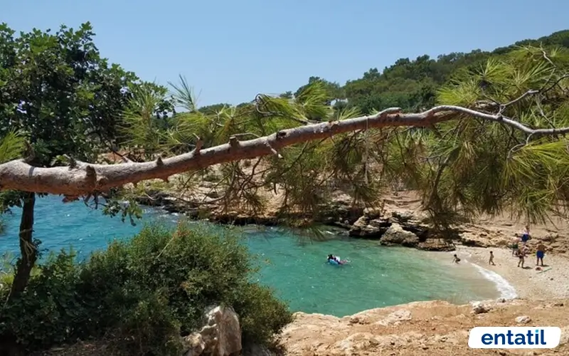Akyar Koyu Kamp Alanı