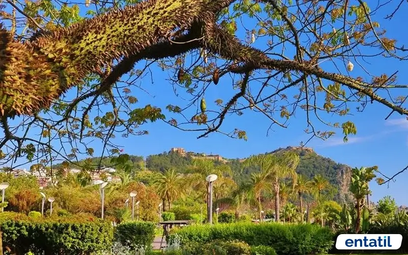 Alanya Bahçeleri Kamp Alanı