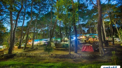 Alanya Kamp Alanları