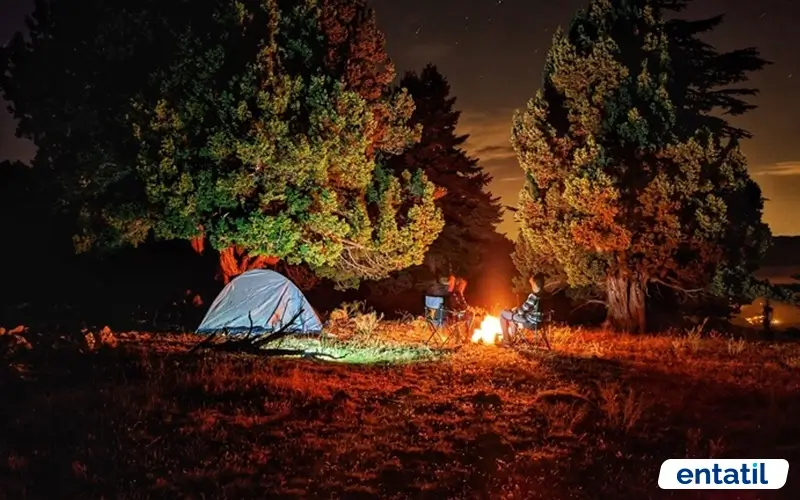 Arslanköy Kasabası Yaylası Kamp Alanı