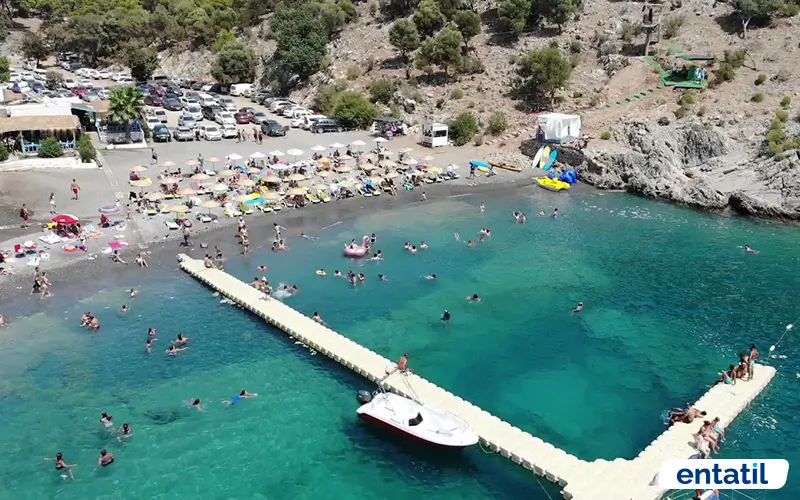 Aşı Koyu