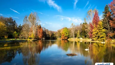 Atatürk Arboretumu Giriş Ücreti