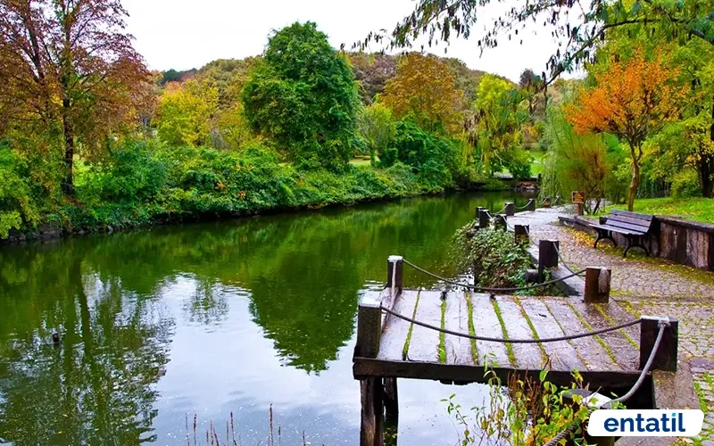 Atatürk Arboretumu Göleti