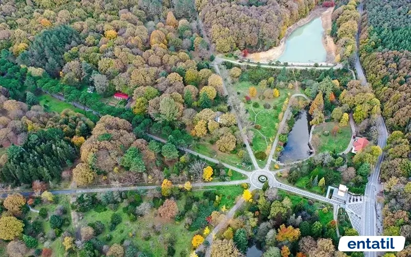 Atatürk Arboretumu Havadan Görünümü