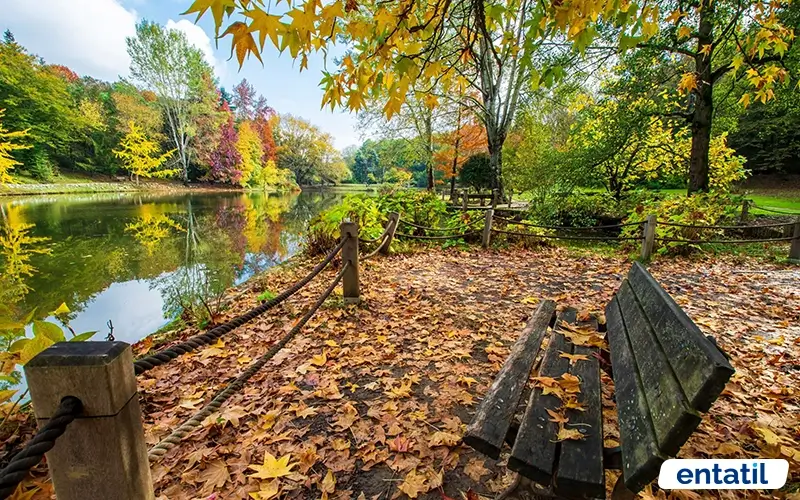 Atatürk Arboretumu Sonbahar