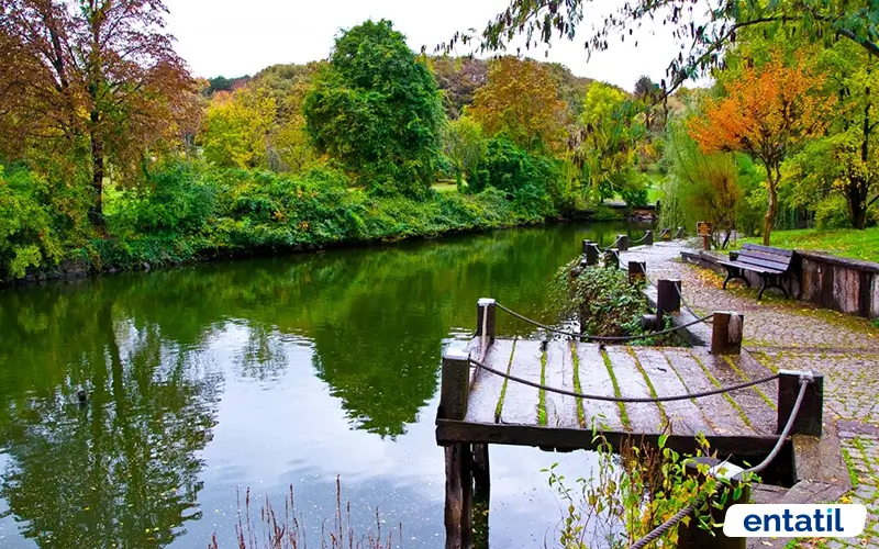 Atatürk Arboretumu