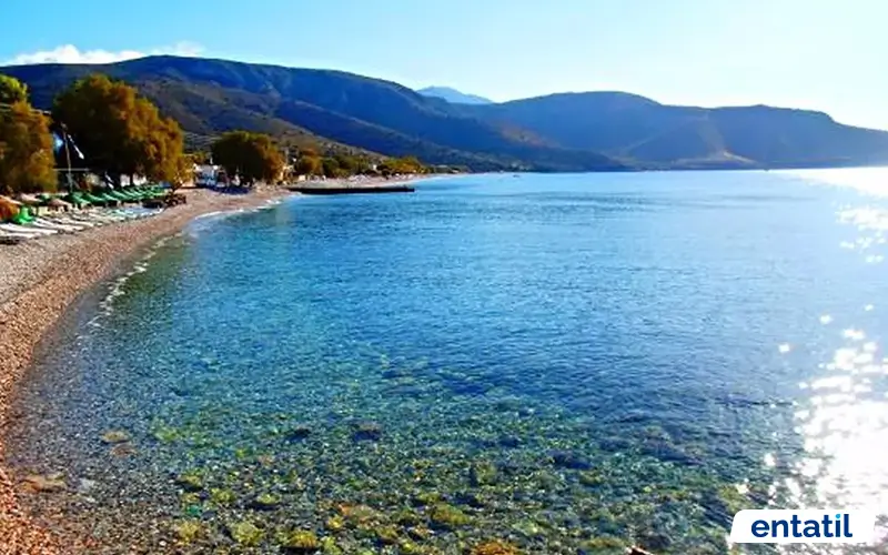 Balık Aşıran Koyu Kamp Alanı